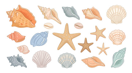 Fototapeta premium Collection of various seashells and starfish on a for marine and beach themes