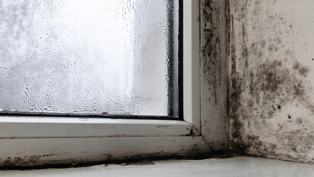 Dirty window frame with mold and peeling paint, window detail closeup, home renovation concept, interior damage problem. wall texture, daylight natural light. Old window corner with moisture stains.
