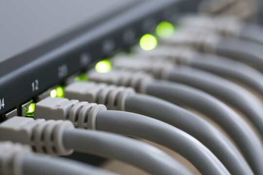 The Ethernet Switch and Cable Patch Panel in a Data Center Setting