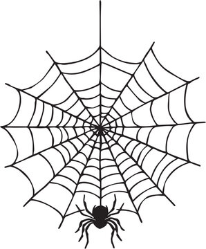 Hand drawn spider web silhouette with hanging spider isolated on white background. Halloween vector illustration.