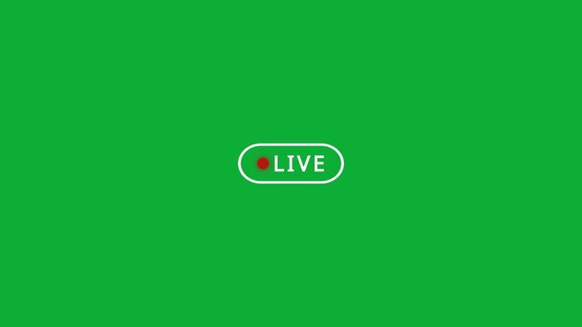 White live button on green background, simple live streaming icon looped animation with alpha. Animated of live streaming and broadcasting concept.