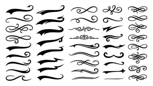 Calligraphic Flourishes and Swirls Vector Set