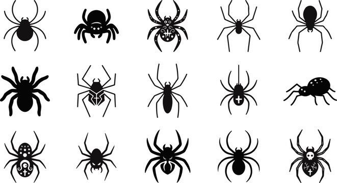 Collection of various spider icons and web illustrations with arachnid collection silhouette creature halloween illustration isolated predator
