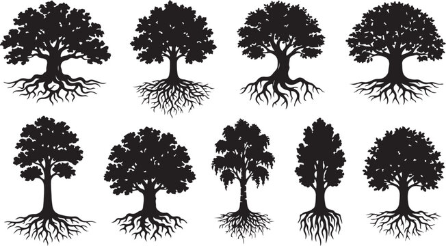 Old Park Tree Silhouettes with Roots Vector Botanical Nature Collection Set