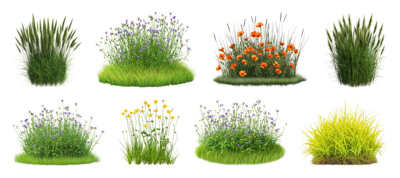 PNG Collection of decorative grass and wildflower clumps isolated, transparent background