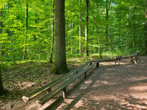 germany, charming wooden marble run nestled among towering forest trees inviting joyful exploration in peaceful summer woodland near wendlingen