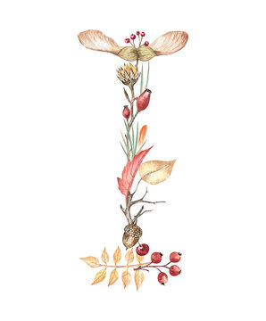 Autumn alphabet letter I created from hand-drawn watercolor leaves, acorn, maple seeds, pine needles, twigs, and berries. Beautiful and romantic monogram for books, stickers, school projects