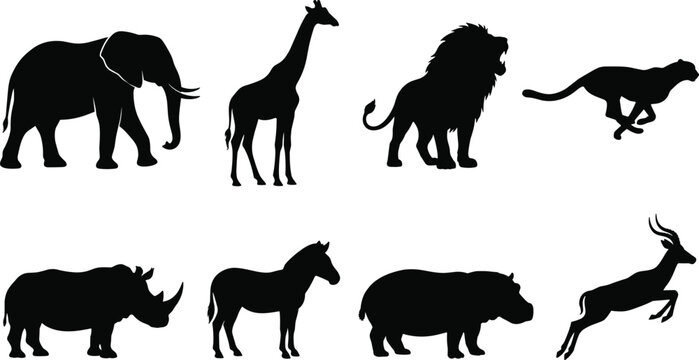 Collection of African safari animal black silhouettes including elephant giraffe lion cheetah rhinoceros zebra hippo and antelope isolated on white background