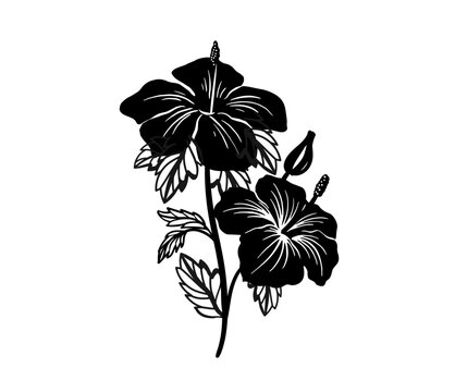 Silhouette tropical black hibiscus vector flowers set. Floral monochrome illustration decal, decor, clipart, poster, sticker, template. Tea hibiscus.