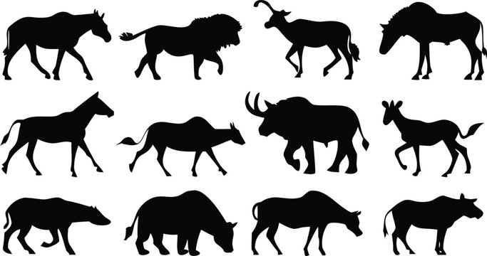 Collection of animal silhouettes walking isolated on white background
