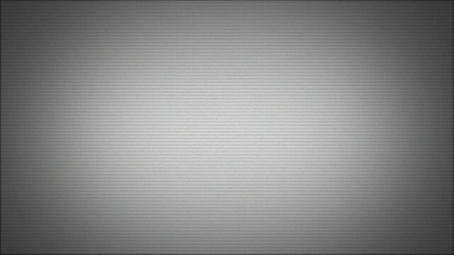 CRT Monitor Static Texture VHS Interference Scan lines Animated Overlay, CRT Interference Scanline Noise Animation Seamless Overlay White Background