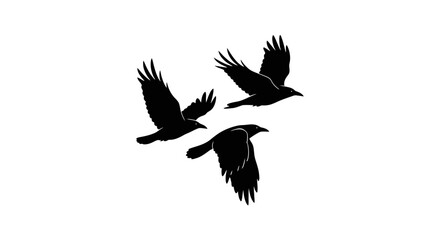 Black raven silhouettes in flight, flying crow bird vector set, dark corvid animal shapes isolated on white background for gothic design © MST. ASIA KHATUN