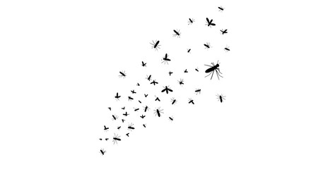 Swarm of mosquitoes flying in a group, black insect silhouettes on white background, pest control and malaria prevention vector illustration © MST. ASIA KHATUN