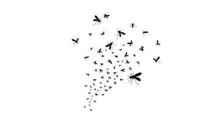 Swarm of mosquitoes flying in a cluster, black insect silhouettes on white background, pest control and malaria prevention vector illustration © MST. ASIA KHATUN