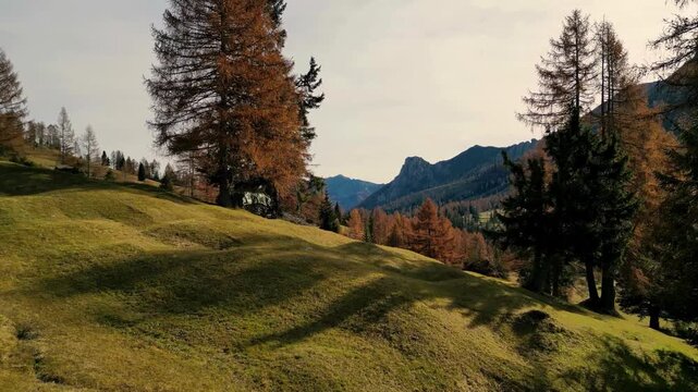 Scenic alpine landscape with autumnal larch trees and mountain peaks, 4K video footage