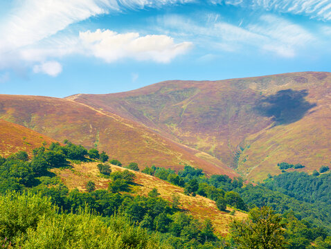 carpathian mountain landscape. travel ukraine in summer. colorful slopes of borzhava mountain ridge in august. wonderful carpathian adventure