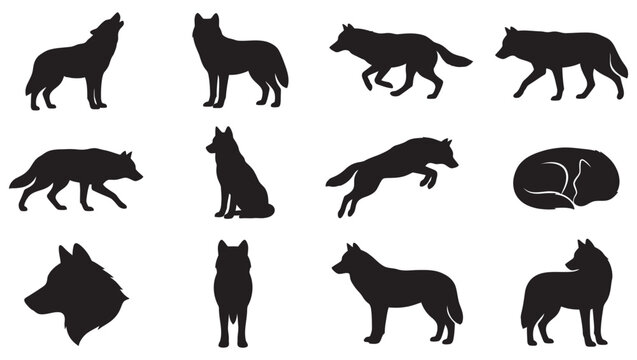 High-quality wolf silhouette vector collection featuring wild gray wolves, coyotes, and jackals in various dynamic poses. Includes howling, running, stalking, walking, jumping, sitting, and sleeping 