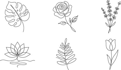 Botanical line featuring a monstera leaf, a rose, a lavender bouquet, a lotus flower, a fern leaf, and a tulip in black ink © UzzoulChandra