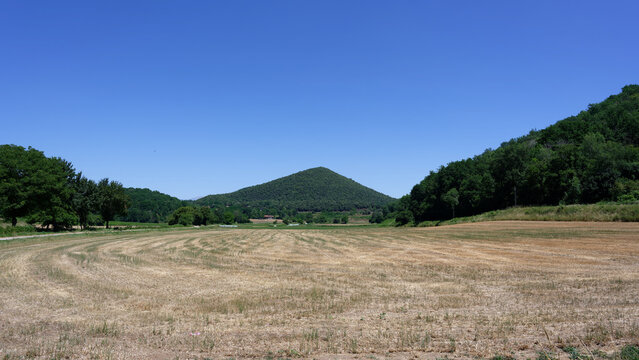 Dry summer farmland and volcanic hill in La Garrotxa, Catalonia, Spain. Rural Mediterranean landscape near Santa Pau and Olot under a clear blue sky.