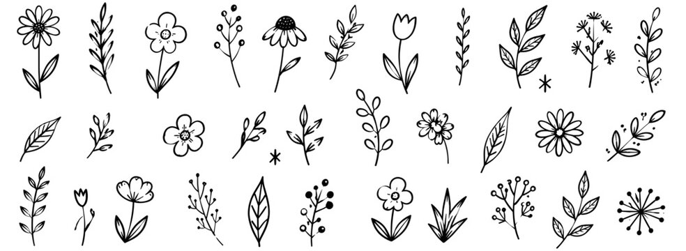 Hand drawn flower doodle set with spring floral plants, leaves, daisy sketches, scribble lines, rough ink strokes and botanical brush textures vector illustration