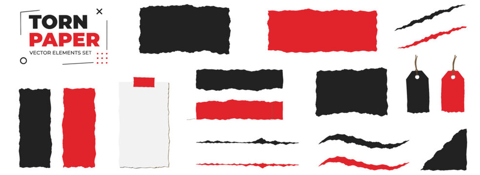 Jagged ripped paper borders and torn edge effects on clean recycled white sheets with blank notes, card pieces, labels, banners and claw cut lines vector illustration