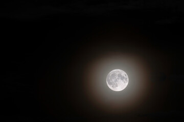 full moon glowing through dark night sky © taviphoto