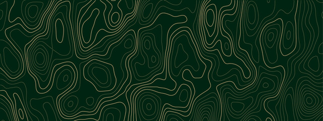 Abstract dark green geographic topographic contour line background with fluid terrain elevation pattern, modern relief texture for technology, travel and design © Noor Al Barakah