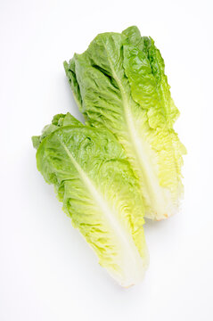 Two Romaine Cos lettuce heart on white