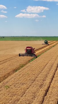 Aerial view of wheat harvest. Drone shot flying over two combine harvesters working on wheat field