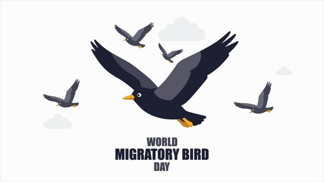 migratory bird world day