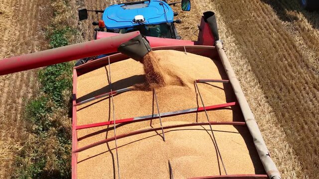 Aerial drone shot of a combine harvester transferring freshly harvested wheat to a tractor-trailer for transport to a grain silo, slow motion