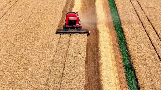 Aerial drone shot of a combine harvester harvesting wheat in a rural landscape on a bright summer day.