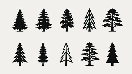 Obraz premium Collection of evergreen tree silhouettes
