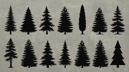 Obraz premium Collection of evergreen tree silhouettes