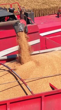 Aerial drone shot of a combine harvester transferring freshly harvested wheat to a tractor-trailer for transport to a grain silo