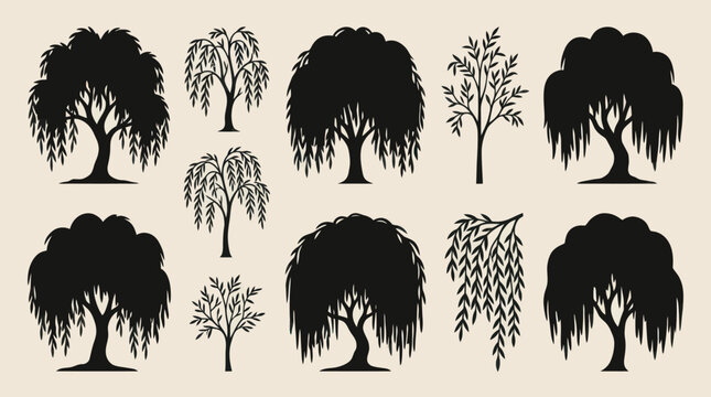 Collection of silhouette willow trees