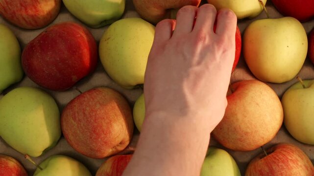 Top down view of man hand picking red apple from basket