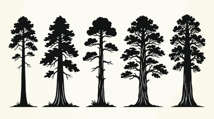Fototapeta premium Conifer tree silhouettes collection