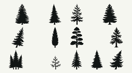 Fototapeta premium Diverse coniferous tree silhouettes collection