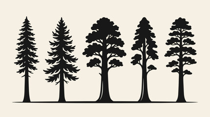Diverse coniferous tree silhouettes © Dika