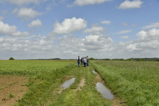 Promenade sur un chemin en gazon parfois entre les flaques d'eau sous des cumulus de beau temps &agrave; Genappe (Nivelles)