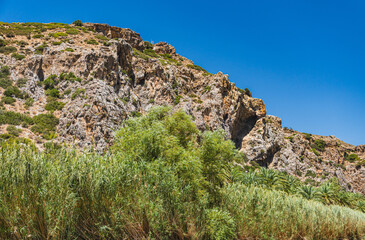 landscape with steep mountain slopes covered with Mediterranean vegetation in Crete during summer © michal812