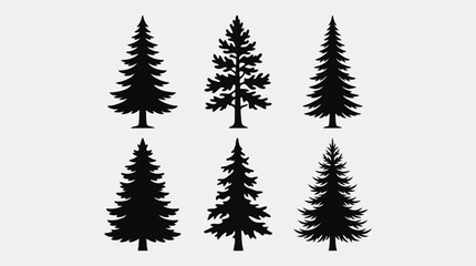 Obraz premium Evergreen tree silhouettes collection