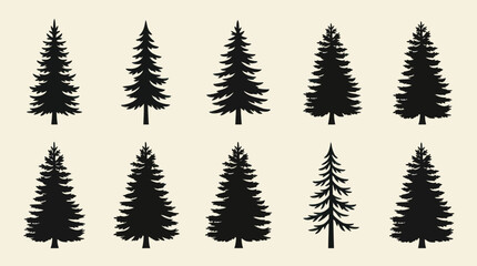 Obraz premium Evergreen tree silhouettes collection