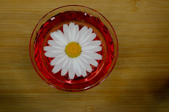 Daisy Drink on Wood 14