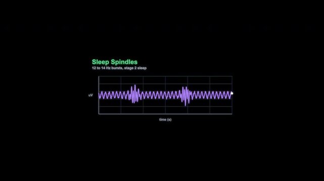 Sleep Spindles EEG Brain Wave Animation Labeled Alpha Channel 4K