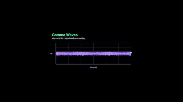 Gamma Waves EEG Brain Wave Animation Labeled Alpha Channel 4K