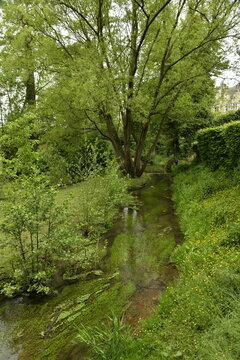 L'Eau d'Heure coulant paisiblement en plein bois &agrave; Ham-Sur-Heure (Thuin)