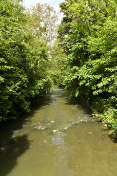 L'Eau d'Heure coulant paisiblement en plein bois &agrave; Ham-Sur-Heure (Thuin)