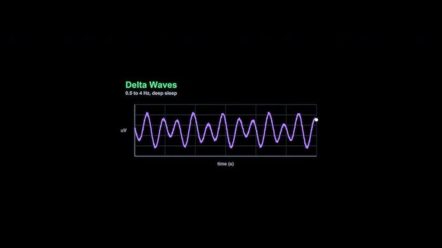Delta Waves EEG Brain Wave Animation Labeled Alpha Channel 4K